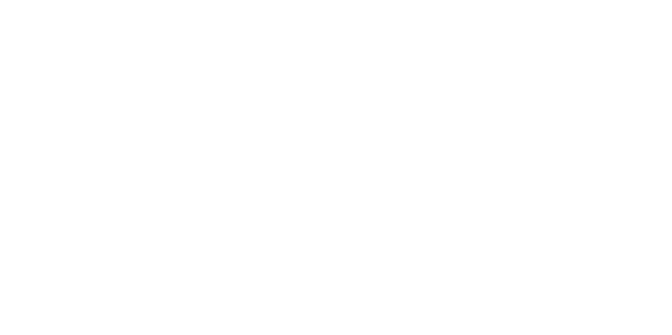 Hofmeister & Meincke