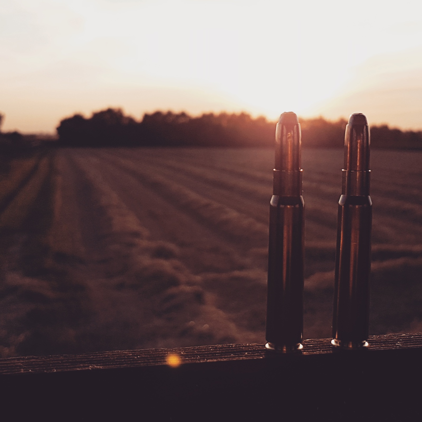 Die Jagd- Mein Hobby und meine Leidenschaft